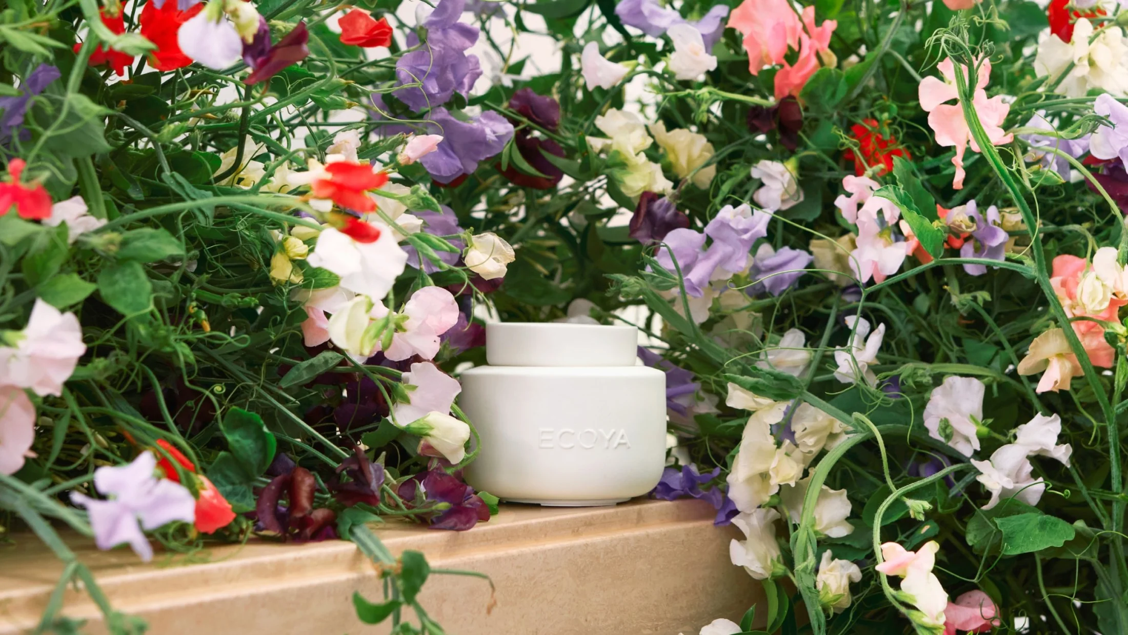 Welcome to Our Store